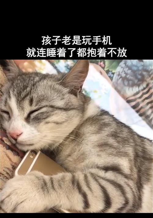 揭秘猫咪捂脸咀嚼的行为奥秘（解读猫咪情绪语言）