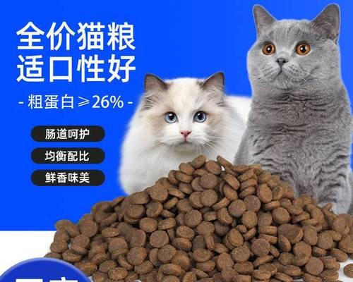 如何解决猫咪老是咬猫粮的问题（宠物猫的饮食习惯）