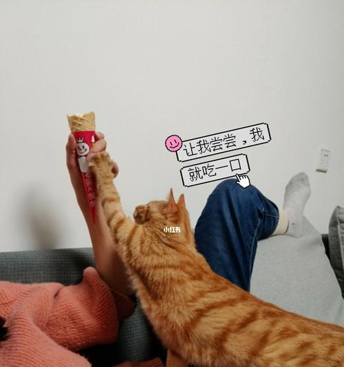 揭秘猫咪为何老是咋吧嘴（探究猫咪的咋吧嘴行为）