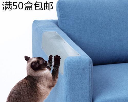 宠物抓家具问题全解决（让猫咪不再老抓家具）