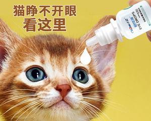 猫咪泪痕眼药水——解决你和宠物的难题（宠物眼部健康的必需品）