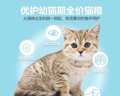 猫咪离乳期饮食不能乱喂（宠物护理-你需要知道的猫咪离乳期饮食知识）