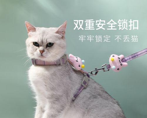 猫咪两个月随地小便，如何解决（宠物主人必看的清洁）