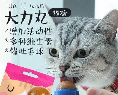 猫咪的零食应该多大（以宠物健康为重要考虑因素）