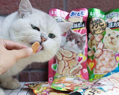 选择适合宠物的猫咪零食品牌，让爱猫更健康（以口感、成分、品质等角度分析）