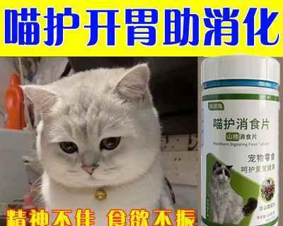 寻找最优秀的猫咪零食品牌（探索宠物世界中最受欢迎的猫咪零食品牌）