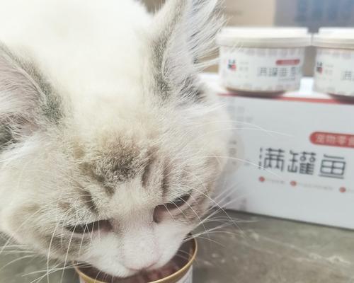 猫咪为何频繁吐出猫粮（揭开猫咪吐猫粮的原因和解决方案）