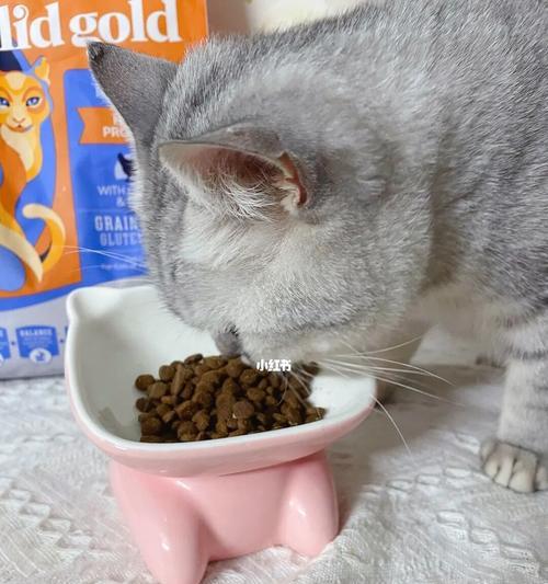 猫咪安吃多了，你需要知道的一切（探究猫咪过度饮食的原因、表现和对策）