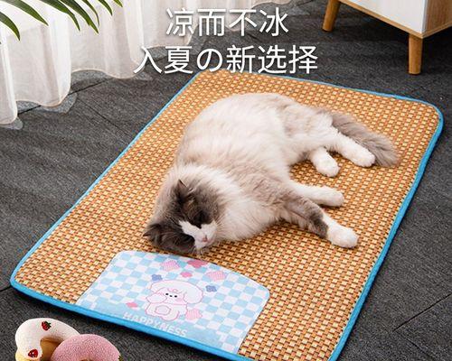 猫咪安吃多了，你需要知道的一切（探究猫咪过度饮食的原因、表现和对策）