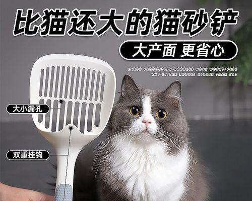 猫咪猫砂多久换一次（照顾宠物健康）