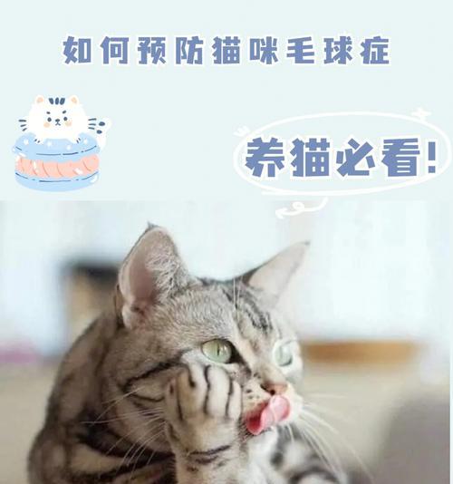 猫咪毛球与肝功不良的关系（了解如何预防猫咪毛球对猫咪肝脏的损害）