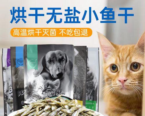 猫咪没猫粮了怎么办（以宠物为主）