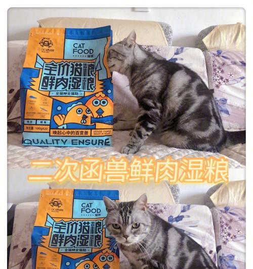 猫咪湿粮喂食频率与健康的关系（每天多少次）