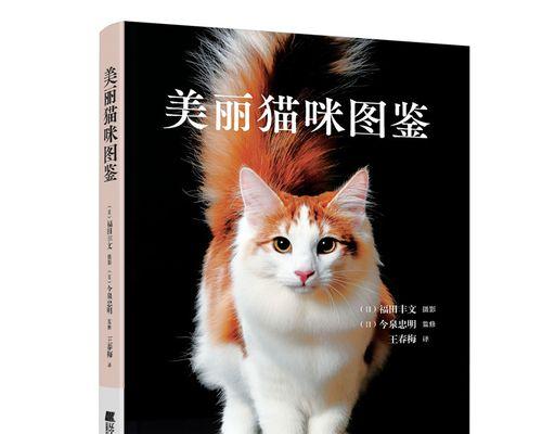 猫咪每天应该喝多少水（宠物饮水量管理的必要性与方法）