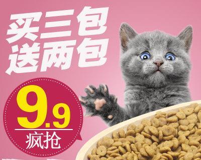 猫咪奶糕和猫粮的区别（哪种更适合你的猫咪）