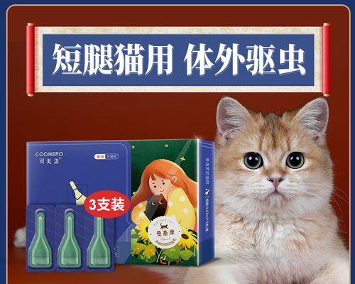 宠物健康必备（选择正确的内外驱虫药保护你的猫咪）