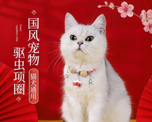 猫咪驱虫全攻略（宠物健康必备）