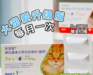 猫咪的驱虫指南（内外驱一起来）