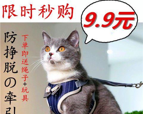 猫咪带出门（宠物的出行需求和注意事项）