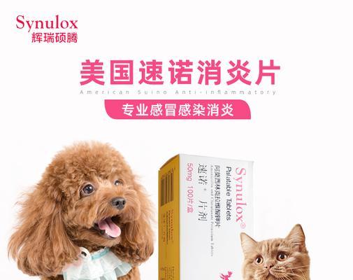 猫咪能吃阿莫西林吗（以猫咪为例）