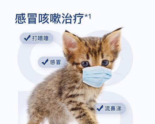 宠物猫咪能吃哪些人类感冒药（掌握这些知识）