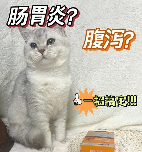 宠物猫咪如何应对拉稀问题（关注饮食健康）