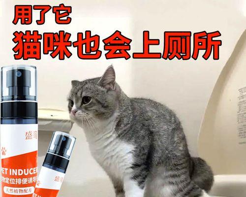 如何训练猫咪使用猫厕所（宠物猫的便便）