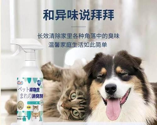 猫咪尿道不通症状及治疗方法（揭秘猫咪尿道疾病的真相）