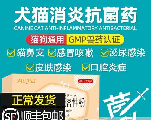 猫咪尿路感染该如何治疗（掌握这些知识）