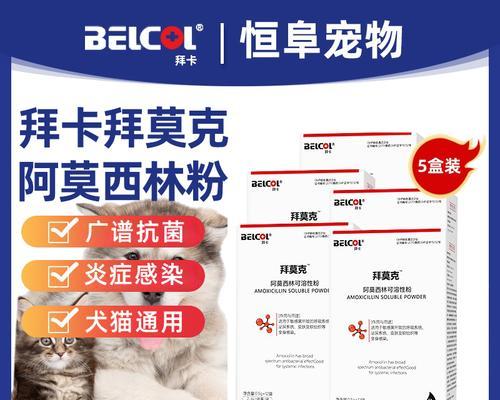 猫咪尿路感染该如何治疗（掌握这些知识）