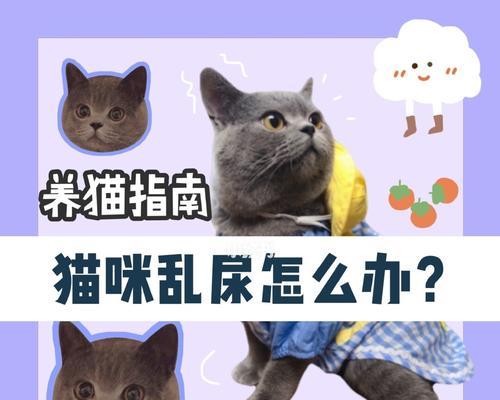 猫咪尿路结石——预防与治疗（探究猫咪尿路结石的原因）