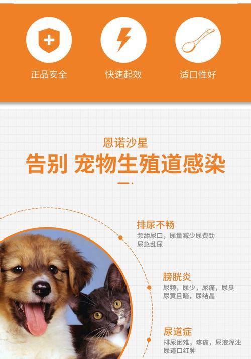 宠物猫咪尿血怎么办（一年多猫咪尿血的原因和解决方法）