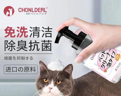 揭秘猫咪尿液中的泡沫（宠物养护必读）