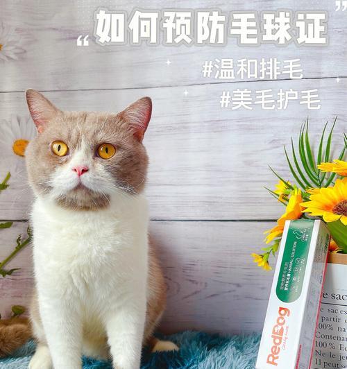 猫咪的毛球问题，你需要知道的一切（了解猫咪毛球的表现与预防方法）