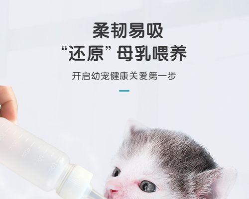 猫咪自然分娩是否好（宠物母猫的产后照护）