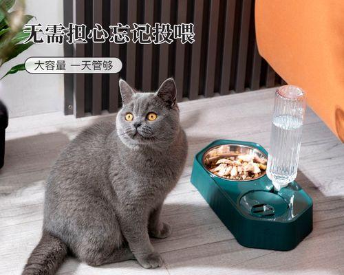 猫咪刨水的真正原因（解析猫咪刨水的行为和动机）