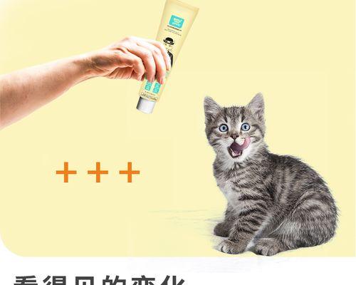 猫咪吐毛球的原因和解决办法（保护宠物健康）