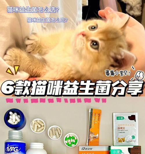 猫咪频繁呕吐喂益生菌的正确方式（如何通过益生菌帮助猫咪缓解呕吐问题）