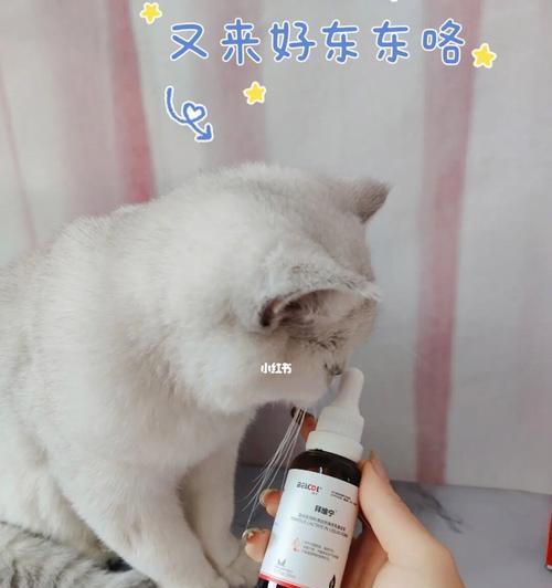 如何帮助猫咪摆脱贫血（常用的药物和饮食调节方案）