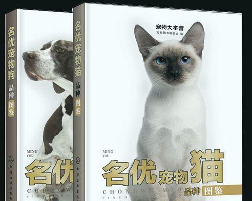 如何辨别不同猫咪品种（掌握品种特征）