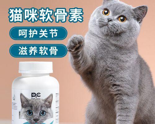 猫咪前腿弯怎么回事（探究猫咪四肢发育的奥秘）