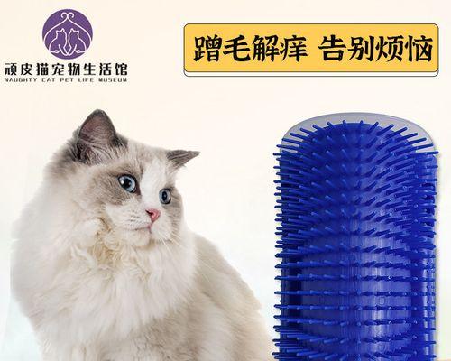 猫咪轻咬引发皮肤痒症，如何预防和治疗（宠物猫咪的爱抚是否会对人类造成伤害）