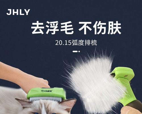 猫咪清洁用品大解析（宠物健康从日常细节开始）