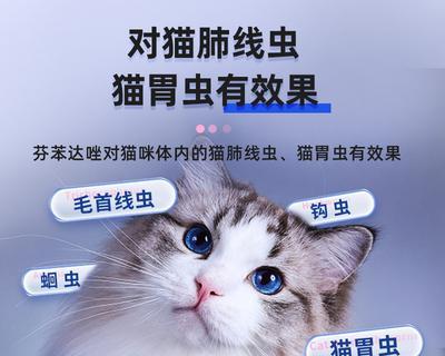 猫咪驱虫后危在旦夕（宠物健康需慎重）