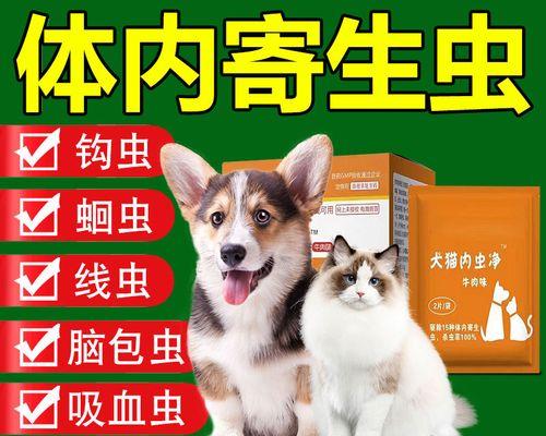 猫咪驱虫后危在旦夕（宠物健康需慎重）