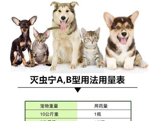 猫咪驱虫的重要性（几天后）