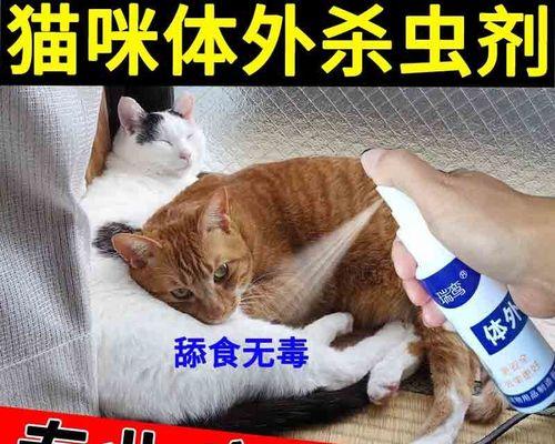 猫咪驱虫后几天可以洗澡（宠物护理小常识）