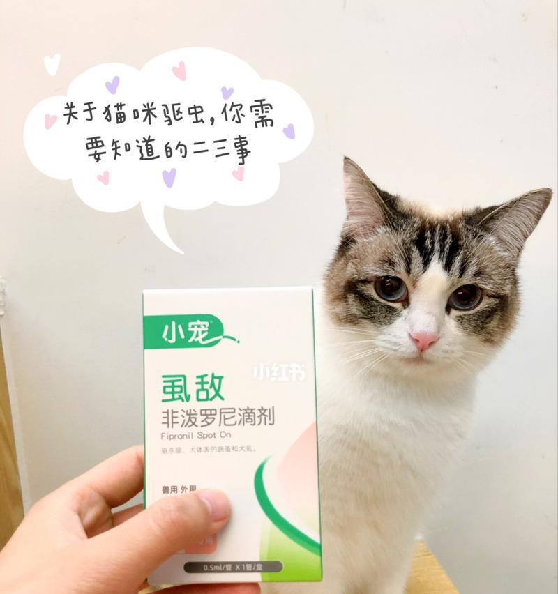 猫咪驱虫，内服好还是外用好（探究宠物驱虫的最佳方式）