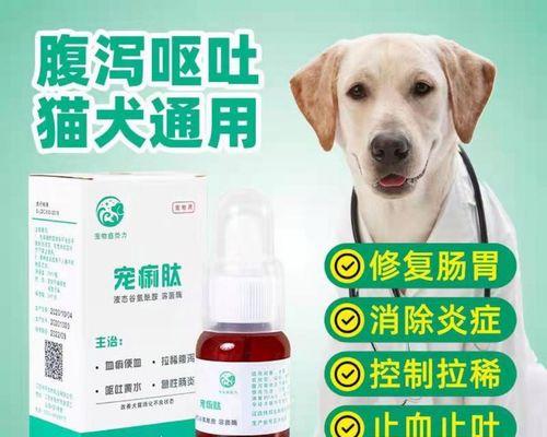 宠物健康护理——小猫吐拉稀应对方案（一月小猫不适）