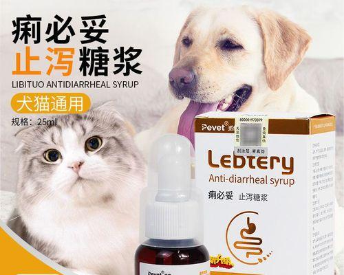 宠物健康护理——小猫吐拉稀应对方案（一月小猫不适）